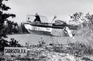 Sterndrive and boat propeller